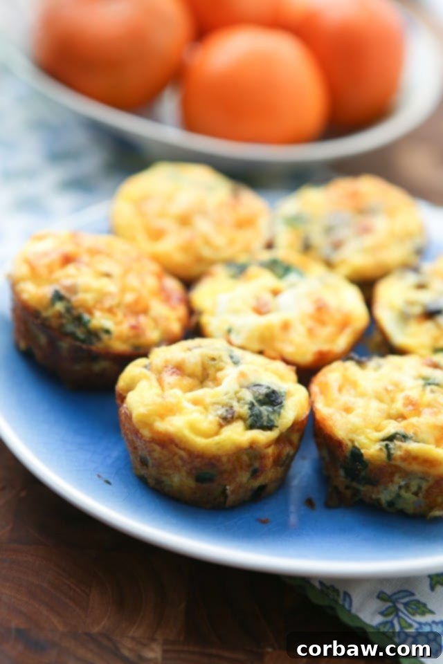 Savory Italian Sausage and Mushroom Egg Muffins 2 Baked Sausage and Mushroom Frittata Muffins