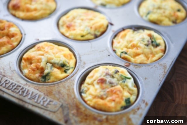 Savory Italian Sausage and Mushroom Egg Muffins 5 Baked Sausage and Mushroom Frittata Muffins