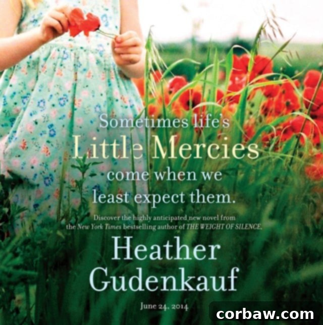 Little Mercies by Heather Gudenkauf