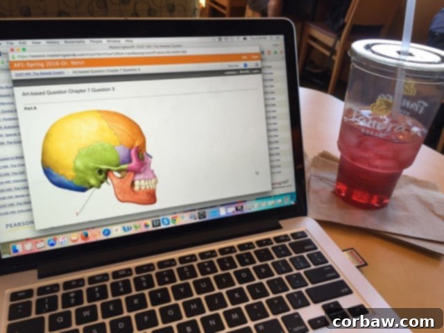 Friday Vibes 3 8 The Challenge of Balancing Life and Blogging