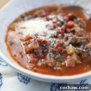 This beefy tomato soup is packed with vegetables - HEALTHY COMFORT FOOD right here! Beef Tomatoe Vegetable Soup Recipe via aggieskitchen.com