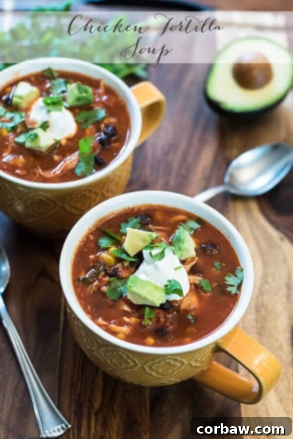 Find inspiration in this collection of delicious healthy recipes using shredded chicken! Healthy Recipes Using Shredded Chicken via aggieskitchen.com Find inspiration in this collection of delicious healthy recipes using shredded chicken! Healthy Recipes Using Shredded Chicken via aggieskitchen.com