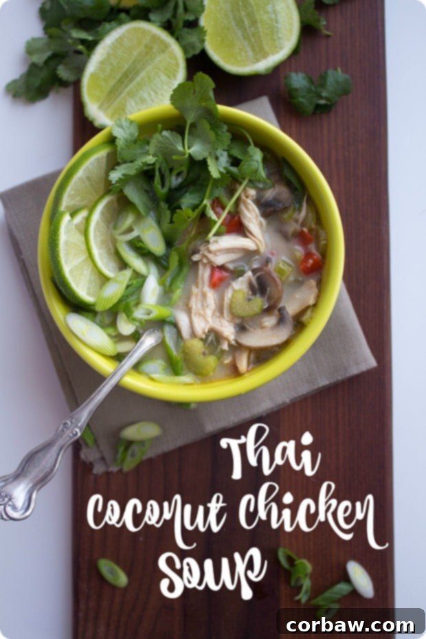 Find inspiration in this collection of delicious healthy recipes using shredded chicken! Healthy Recipes Using Shredded Chicken via aggieskitchen.com