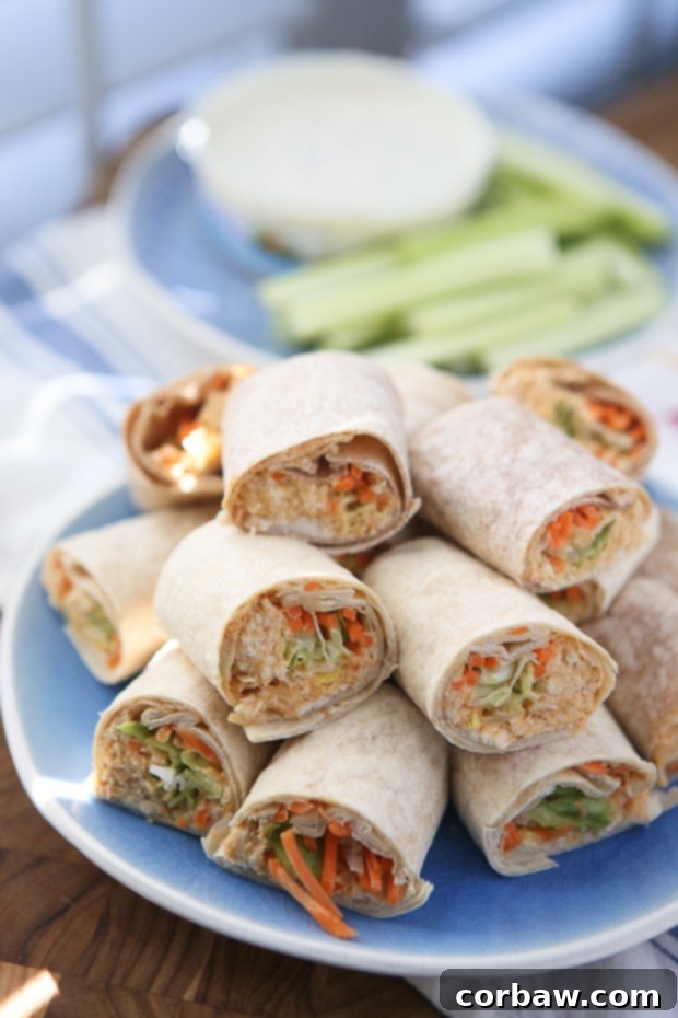 Find inspiration in this collection of delicious healthy recipes using shredded chicken! Healthy Recipes Using Shredded Chicken via aggieskitchen.com Find inspiration in this collection of delicious healthy recipes using shredded chicken! Healthy Recipes Using Shredded Chicken via aggieskitchen.com