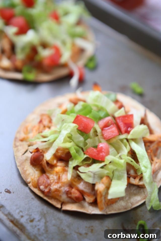 Find inspiration in this collection of delicious healthy recipes using shredded chicken! Healthy Recipes Using Shredded Chicken via aggieskitchen.com Find inspiration in this collection of delicious healthy recipes using shredded chicken! Healthy Recipes Using Shredded Chicken via aggieskitchen.com