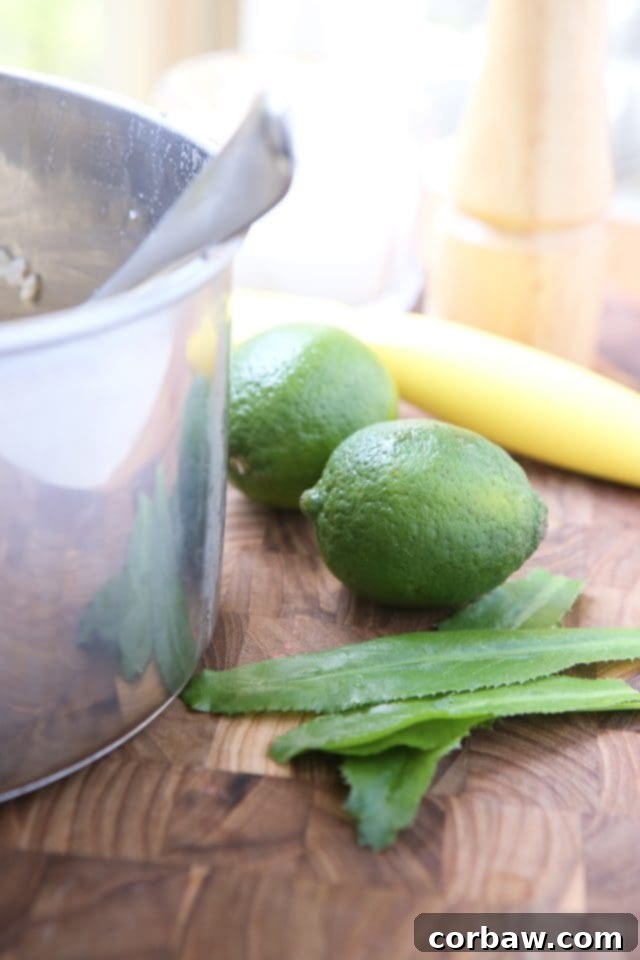 Enhance your Mexican dishes with this simple and healthy Cilantro Lime Brown Rice recipe. This recipe for Cilantro Lime Brown Rice is a perfect side for any Mexican dish. Use it to fill burritos, top with black beans or eat on its own! Recipe via aggieskitchen.com