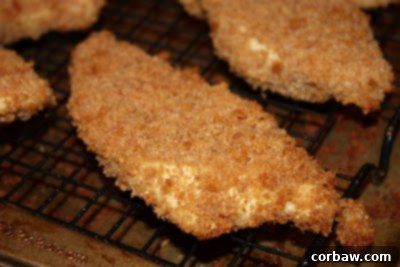 Fiery Garlic Oven Chicken Bites 2 Homemade boneless chicken wings, freshly baked and ready to be tossed in sauce, lying on a baking rack to ensure maximum crispiness.