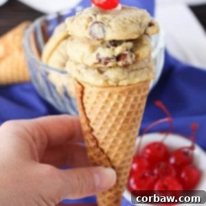 Picky Palate Ultimate Ice Cream Chocolate Chip Cookies 2 img 1272 3