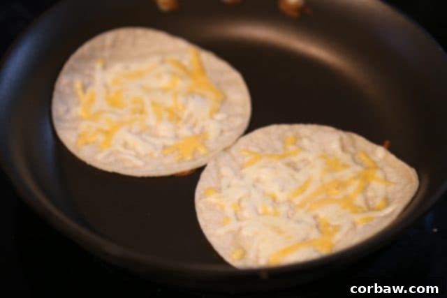 Close-up shot of two corn tortillas gently warming in a skillet, each topped with a generous sprinkle of shredded Mexican cheese that is just beginning to melt, creating a delicious base for the tacos.