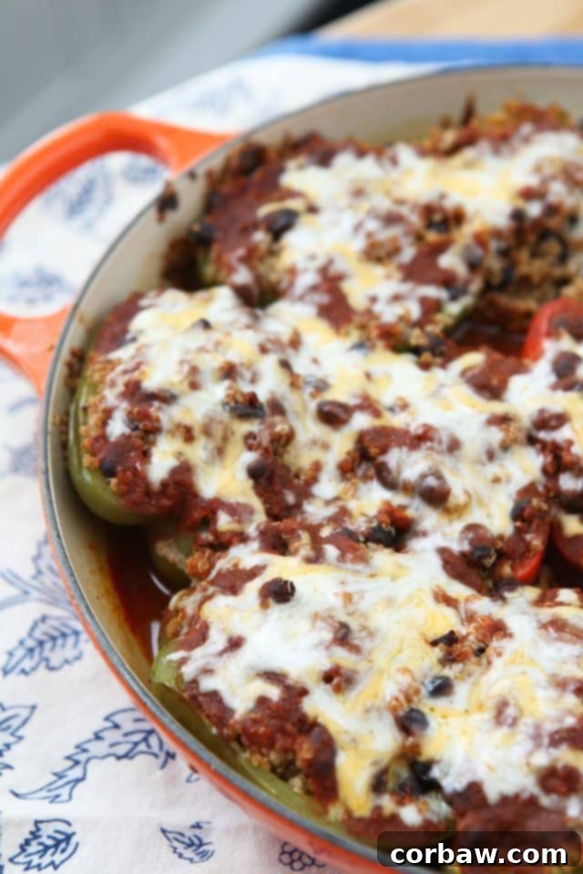 Veggie Enchilada Stuffed Peppers 2 Delicious and hearty Vegetarian Enchilada Stuffed Peppers, featuring vibrant bell peppers filled with a savory quinoa and black bean mixture, baked to perfection and topped with melted cheese.