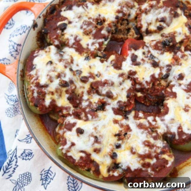Veggie Enchilada Stuffed Peppers 7 A close-up of a beautifully baked Vegetarian Enchilada Stuffed Pepper, golden brown with melted cheese and rich sauce, garnished with fresh cilantro, ready to be served.
