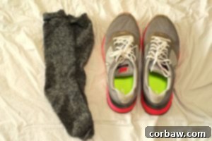 Navigating the Autzen Gauntlet 7 A collage of essential items and tips for surviving Autzen Stadium on game day.