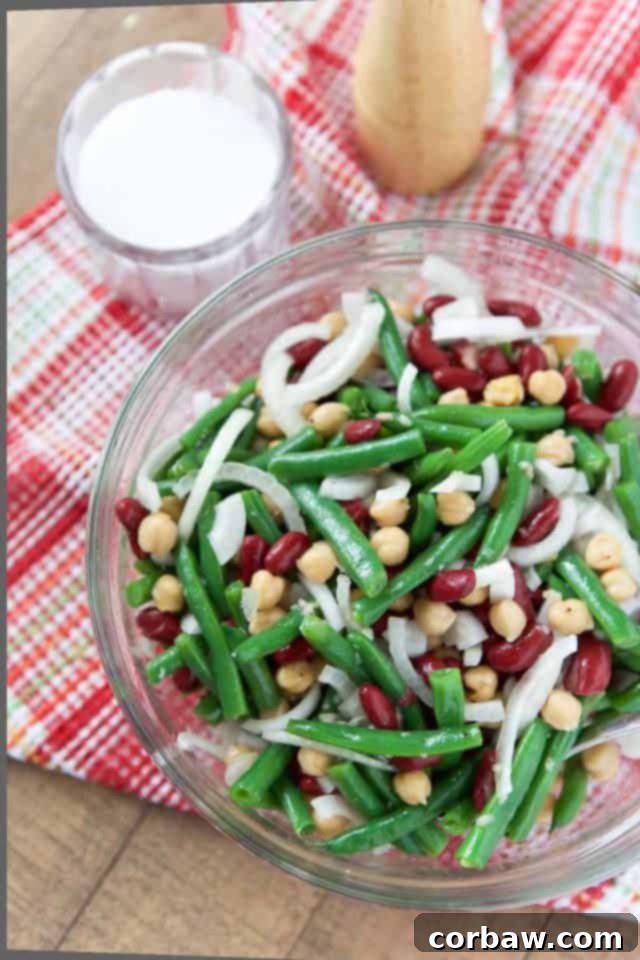 A beautifully presented bowl of Three Bean Salad with Vidalia Onions, garnished with fresh herbs, ready to be served. The bright colors of the beans and onions are appealing and inviting.