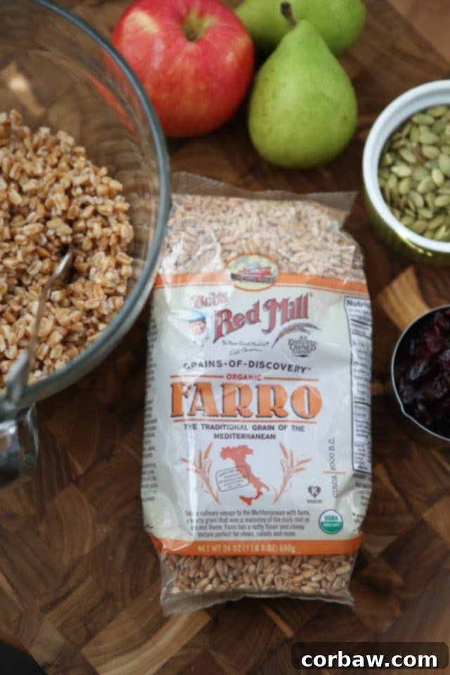 Close-up of Harvest Farro Salad showcasing its rich textures and colors: golden farro, red cranberries, green celery, white apple pieces, and dark pumpkin seeds.