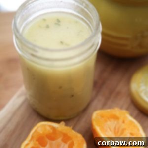 'Tis the season for all things citrus! Love clementines and their sweet juice, try this Clementine Vinaigrette on your next salad! recipe via aggieskitchen.com
