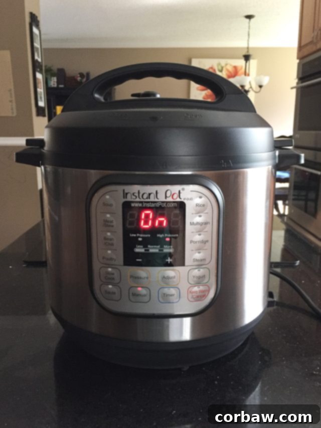 How To Cook Spaghetti Squash in the Instant Pot Instant Pot on kitchen counter, ready to cook delicious meals