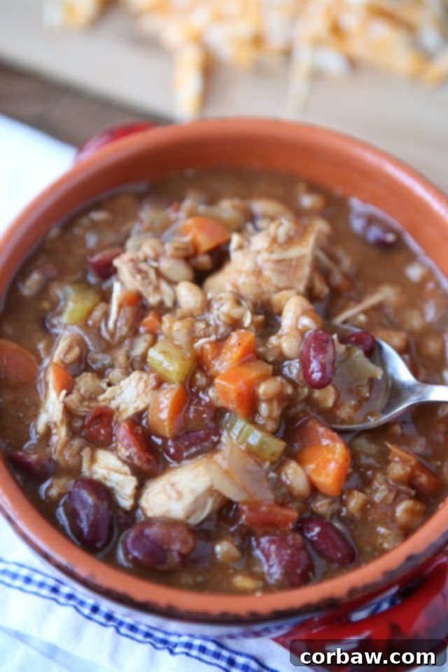 A top-down view of the hearty Slow Cooker Chicken and Farro Chili, garnished and ready to serve. This healthy, whole-grain dish with Bush's Chili Beans is perfect for winter. Find the recipe at aggieskitchen.com. Warm up this winter with Slow Cooker Chicken and Farro Chili - so hearty & healthy, filled with veggies, lean protein, whole grains and Bush's Chili Beans. Recipe via aggieskitchen.com