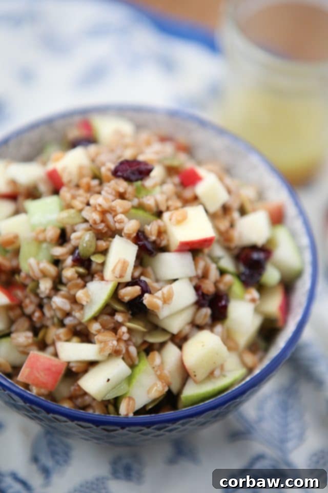 2016's 12 Most Popular Recipes My Must-Make List 17 A colorful Harvest Farro Salad in a large serving bowl, featuring various seasonal vegetables and grains.