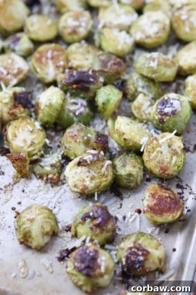 2016's 12 Most Popular Recipes My Must-Make List 8 Perfectly roasted Brussels Sprouts coated in vibrant green pesto, arranged on a baking sheet, ready to serve.