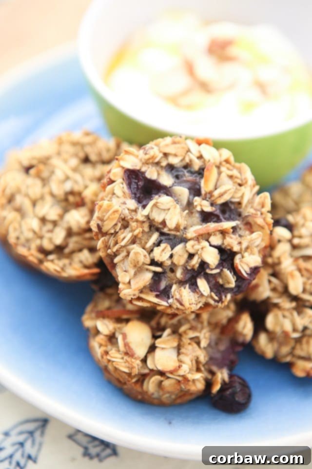 2016's 12 Most Popular Recipes My Must-Make List 9 Blueberry Almond Oatmeal Bites, perfectly golden and studded with blueberries, displayed on a wooden board.