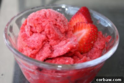 Our Shared Joys 5 A scoop of homemade strawberry sorbet in a glass bowl, garnished with a fresh strawberry