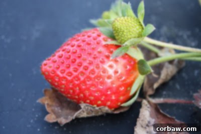 Our Shared Joys 6 Freshly churned strawberry sorbet being spooned into a container from an ice cream maker