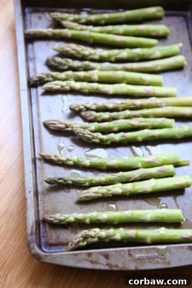 Roasted Asparagus is an easy way to get this spring vegetable favorite on the table at dinner time. Seasoned simply with just olive oil, salt and pepper and roasted to perfection. Roasted Asparagus is an easy way to get this spring vegetable favorite on the table at dinner time. Seasoned simply with just olive oil, salt and pepper and roasted to perfection.