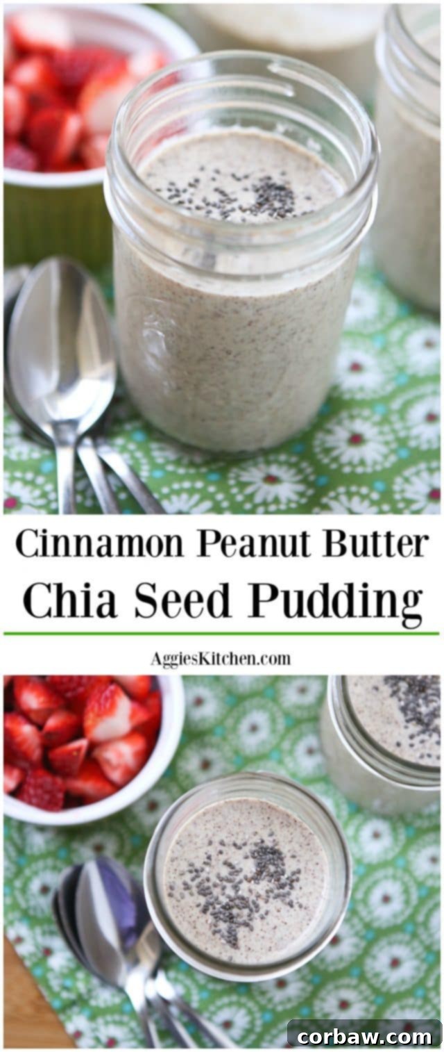 Cinnamon Peanut Butter Chia Seed Pudding: A Healthy Family Favorite Wholesome Cinnamon Peanut Butter Chia Seed Pudding makes a healthy and delicious snack or dessert for any occasion.