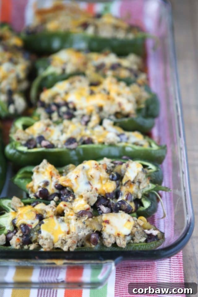 Easy 5 Ingredient Stuffed Poblano Peppers with Ground Turkey and Black Beans Glass baking pan with vibrant green poblano peppers generously stuffed with a savory ground turkey and black bean filling, topped with melted, bubbly pepper jack cheese, ready to be served as a healthy, easy dinner.
