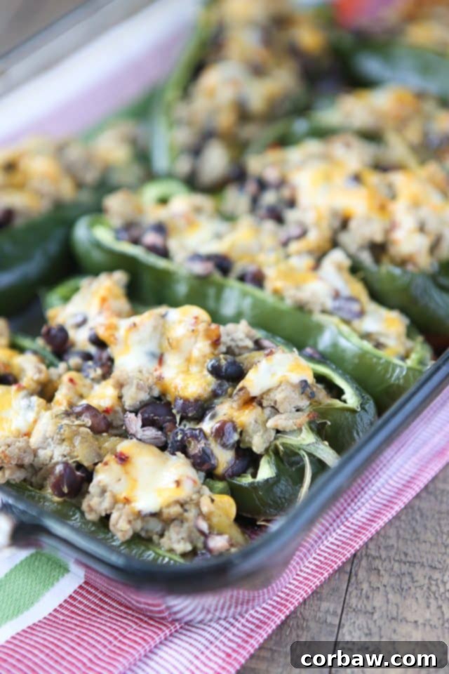 5 Ingredient Turkey Black Bean Stuffed Poblanos 4 A perfectly baked stuffed poblano pepper, featuring a golden, bubbly cheese topping and a hearty turkey and black bean filling, presented as a light and healthy weeknight dinner option.