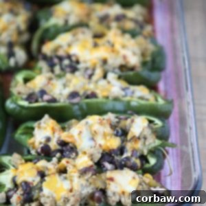 Only 5 ingredients to make these delicious Stuffed Poblano Peppers with Turkey and Black Beans! A light, healthy dinner perfect for weeknights. Leftovers make for great lunches too! Recipe via aggieskitchen.com