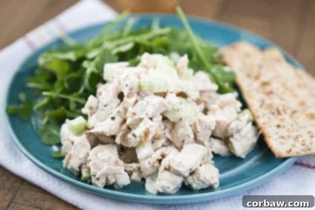 Grilled Lemon Pepper Chicken Salad with Greek Yogurt plate of chicken salad with spinach and crackers