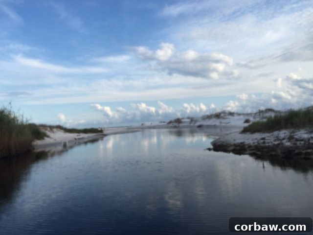 Arrival at the beautiful Blue Mountain Beach by boat, revealing crystal clear waters Stunning view of the Gulf of Mexico from the boat as it approaches Blue Mountain Beach