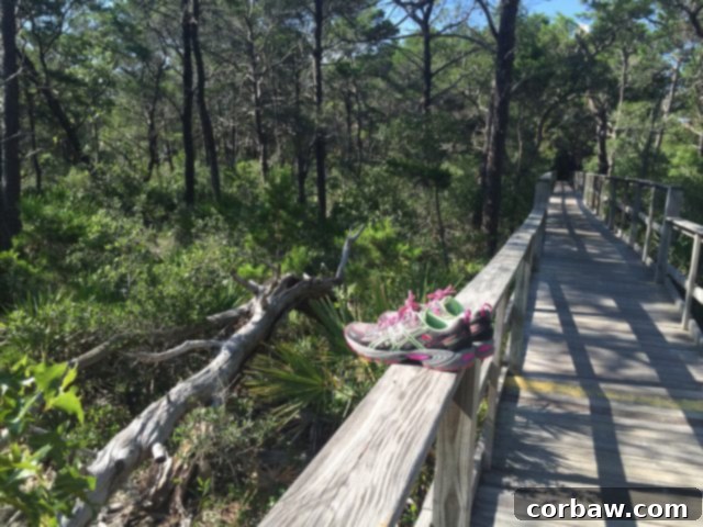 Exploring scenic walking trails and untouched nature in the 30A area A serene view of natural vegetation and a path leading towards the water on 30A