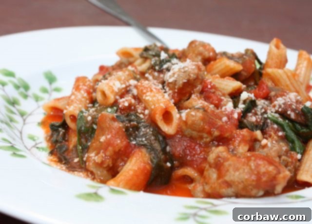 Whole Wheat Penne with Sausage, Spinach and Tomatoes - hearty, healthy comfort food! recipe via aggieskitchen.com