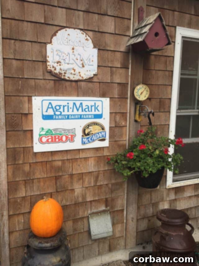 Group visiting a dairy farm with cows