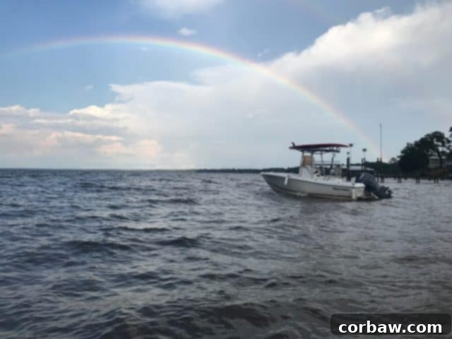 My 2017: Favorite Recipes & Life's Latest Chapters 2 A serene landscape symbolizing reflection and new beginnings at the end of the year.