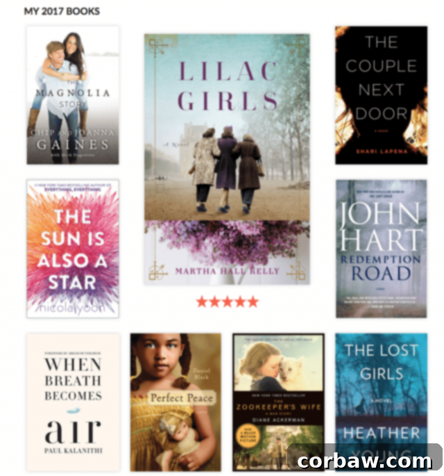 2017 Reading Rewind: All My Books & Top Picks 3 Collage of book covers from the first section of the 2017 reading list.