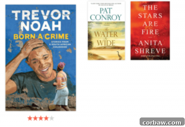 2017 Reading Rewind: All My Books & Top Picks 8 Collage of book covers from the final section of the 2017 reading list, including 'Born A Crime' and 'The Stars Are Fire'.