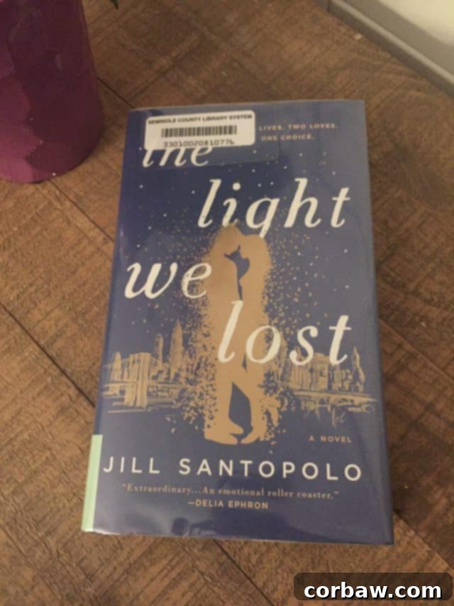2017 Reading Rewind: All My Books & Top Picks 9 Book cover for 'The Light We Lost' by Jill Santopolo.
