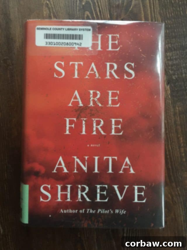 2017 Reading Rewind: All My Books & Top Picks 10 Book cover for 'The Stars Are Fire' by Anita Shreve.