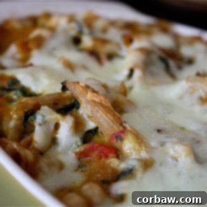 Velvet Butternut Shrimp Pasta Bake 2 Delicious Creamy Butternut Squash and Shrimp Pasta Bake