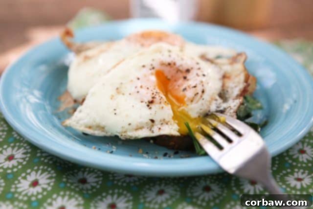 Start your day with this nutritious Spinach and Egg Breakfast Toast, a perfect blend of protein, healthy carbs, and greens to keep you energized. Get a serving of spinach in the first meal of your day with this Spinach and Egg Breakfast Toast! It's packed with protein and good carbs so it will keep you full all morning.