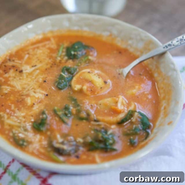 A close-up view of the rich texture of Tomato and Spinach Tortellini Soup, highlighting the tender tortellini and wilted spinach in a creamy tomato broth.