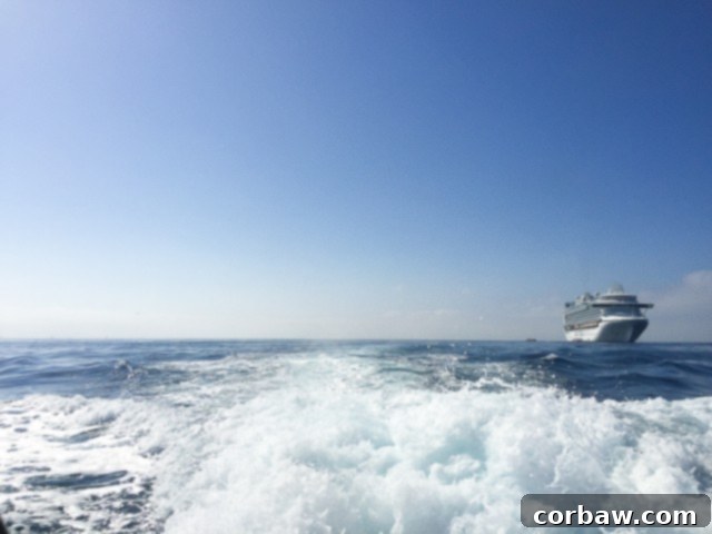 The majestic Royal Princess cruise ship at sea, preparing for its West Coast voyages