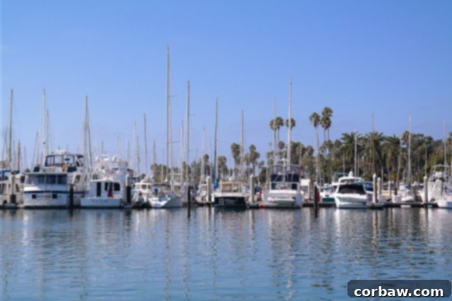 Guests enjoying a wine tasting excursion at Fess Parker Winery in Santa Barbara during a Princess Cruise