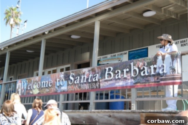 Delicious gourmet food paired with fine wines at Fess Parker Winery, Santa Barbara, during a Princess Cruises excursion