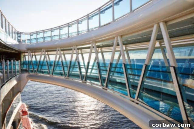 Guests enjoying the innovative glass-bottomed SeaWalk on the Royal Princess cruise ship, offering incredible ocean views