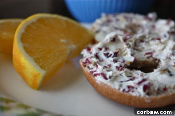 Close-up of freshly made Cranberry Nut Cream Cheese Spread in a bowl, showcasing its rich texture and cranberry pieces.