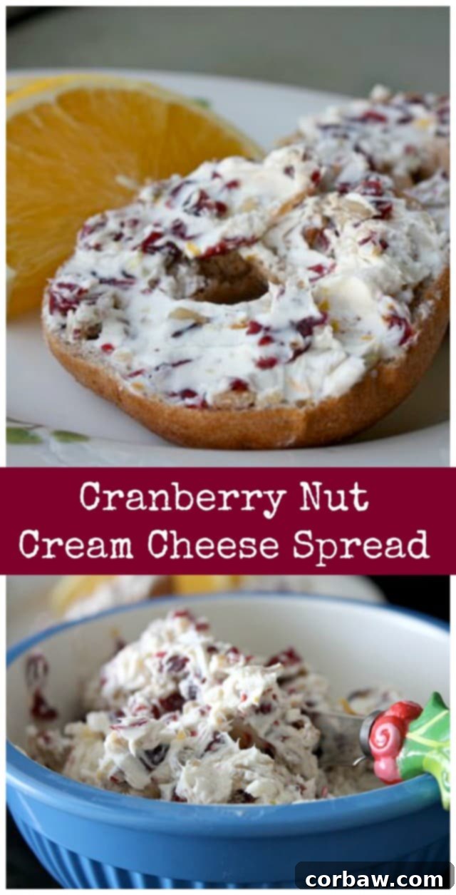 Beautifully styled image of Cranberry Nut Cream Cheese Spread served in a charming bowl, surrounded by fresh cranberries and nuts, perfect for holiday entertaining.